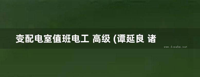 变配电室值班电工 高级 (谭延良 诸德宏)